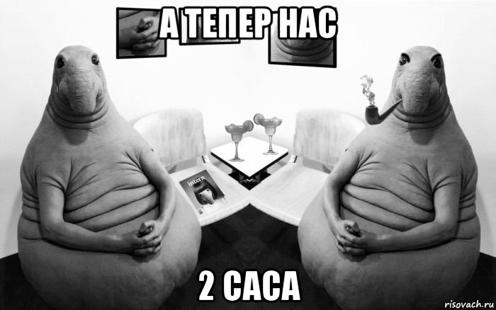 а тепер нас 2 саса