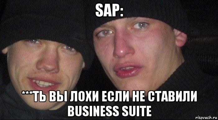 sap: ***ть вы лохи если не ставили business suite, Мем Ебать ты лох