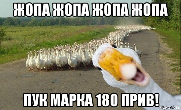 жопа жопа жопа жопа пук марка 180 прив!, Мем гуси