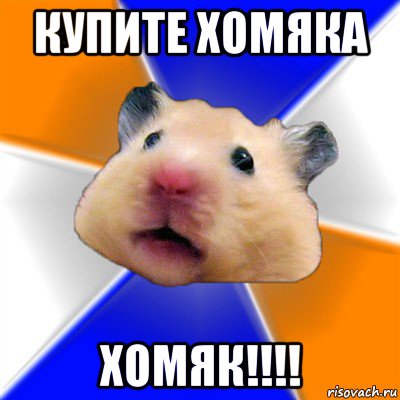 купите хомяка хомяк!!!!