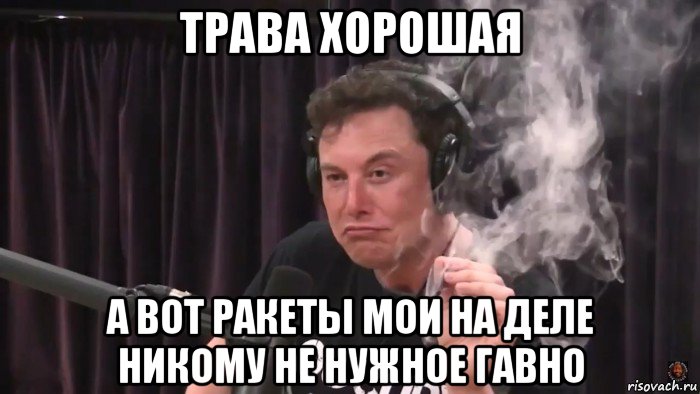 трава хорошая а вот ракеты мои на деле никому не нужное гавно, Мем Илон Маск