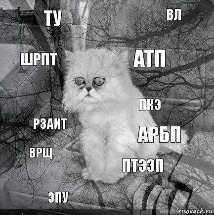 Ту Арбп Атп Эпу РЗАиТ Вл Птээп Шрпт Врщ Пкэ, Комикс  кот безысходность