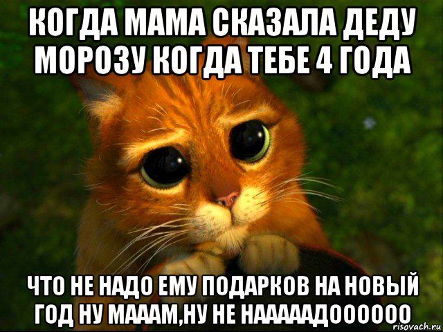 когда мама сказала деду морозу когда тебе 4 года что не надо ему подарков на новый год ну мааам,ну не нааааадоооооо, Мем кот из шрека