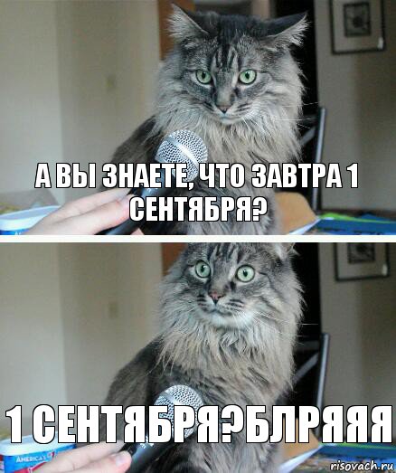 А вы знаете, что завтра 1 сентября? 1 сентября?Блряяя, Комикс  кот с микрофоном