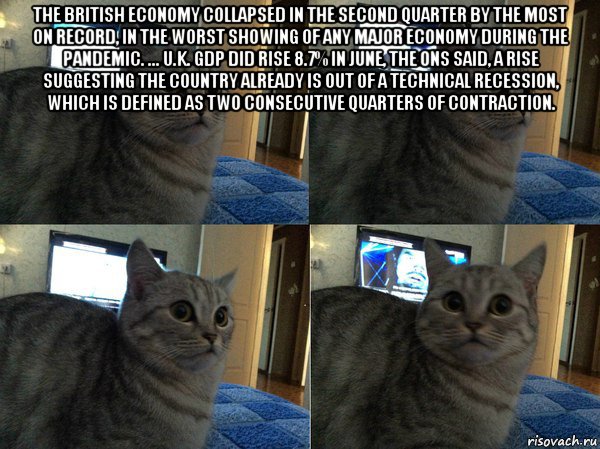 the british economy collapsed in the second quarter by the most on record, in the worst showing of any major economy during the pandemic. ... u.k. gdp did rise 8.7% in june, the ons said, a rise suggesting the country already is out of a technical recession, which is defined as two consecutive quarters of contraction. , Мем  Кот в шоке