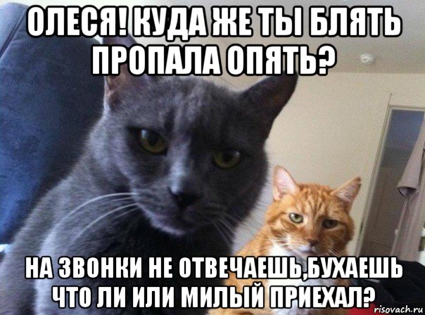 олеся! куда же ты блять пропала опять? на звонки не отвечаешь,бухаешь что ли или милый приехал?