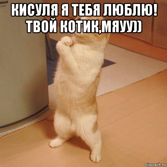 кисуля я тебя люблю! твой котик,мяуу)) , Мем  котэ молится