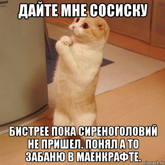 дайте мне сосиску бистрее пока сиреноголовий не пришел. понял а то забаню в маенкрафте., Мем  котэ молится