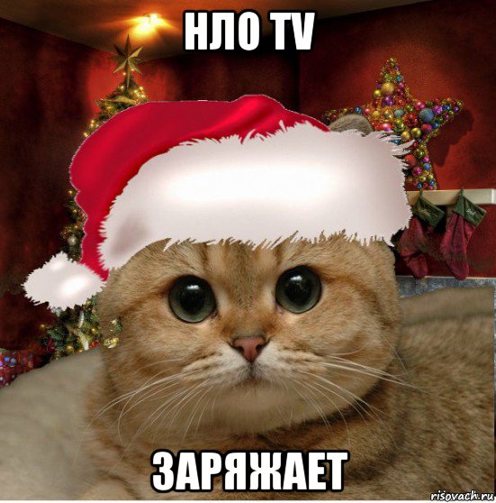 нло tv заряжает, Мем Котенька