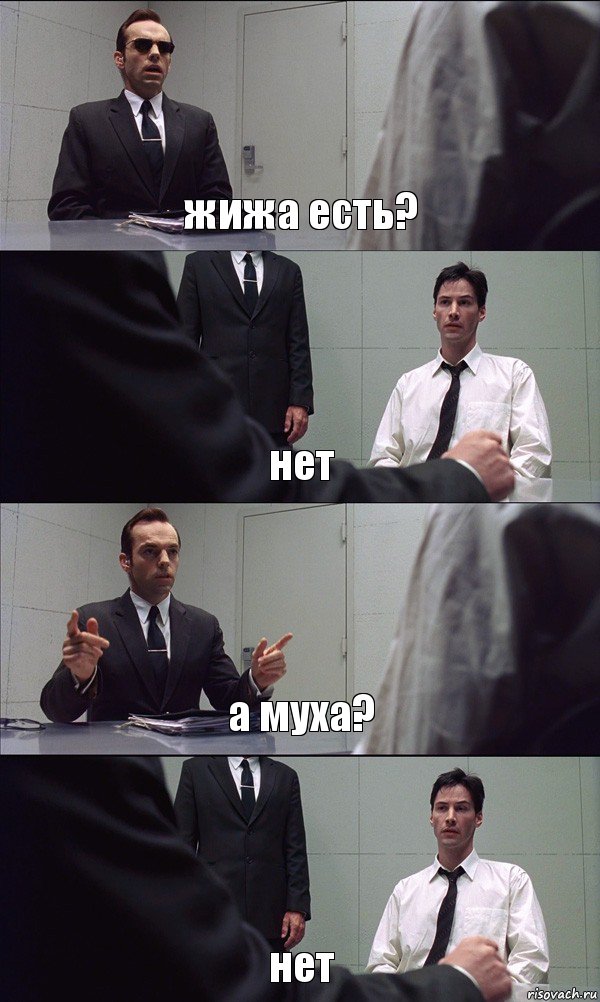 жижа есть? нет а муха? нет