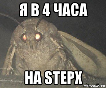 я в 4 часа на stepx, Мем Матылёк