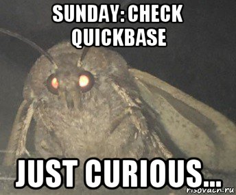 sunday: check quickbase just curious..., Мем Матылёк