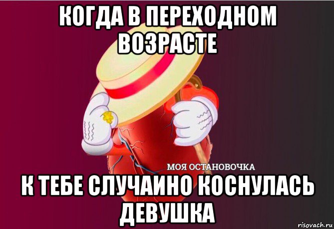 когда в переходном возрасте к тебе случаино коснулась девушка, Мем   Моя остановочка