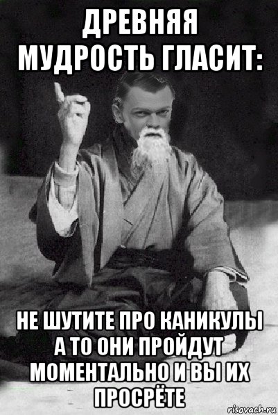 древняя мудрость гласит: не шутите про каникулы а то они пройдут моментально и вы их просрёте, Мем Мудрий Виталька