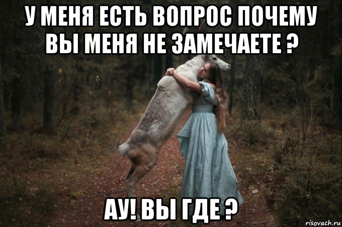 у меня есть вопрос почему вы меня не замечаете ? ау! вы где ?