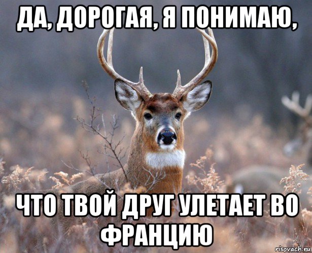 да, дорогая, я понимаю, что твой друг улетает во францию