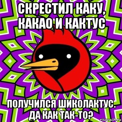 скрестил каку, какао и кактус получился шиколактус. да как так-то?