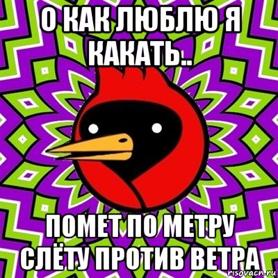 о как люблю я какать.. помет по метру слёту против ветра, Мем Омская птица