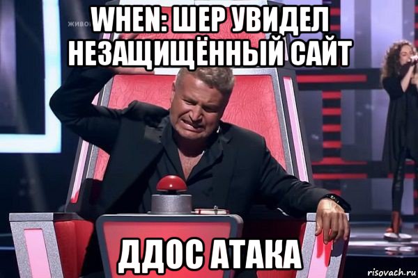 when: шер увидел незащищённый сайт ддос атака