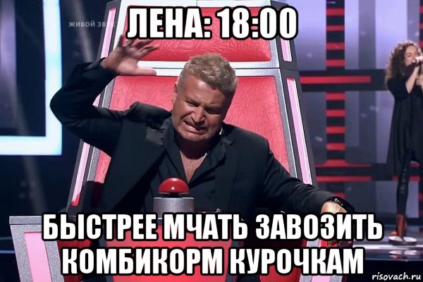 лена: 18:00 быстрее мчать завозить комбикорм курочкам