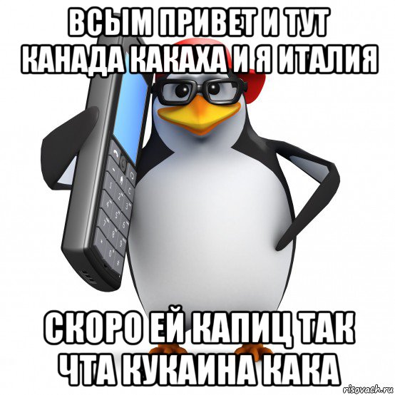 всым привет и тут канада какаха и я италия скоро ей капиц так чта кукаина кака, Мем   Пингвин звонит