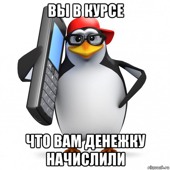 вы в курсе что вам денежку начислили, Мем   Пингвин звонит