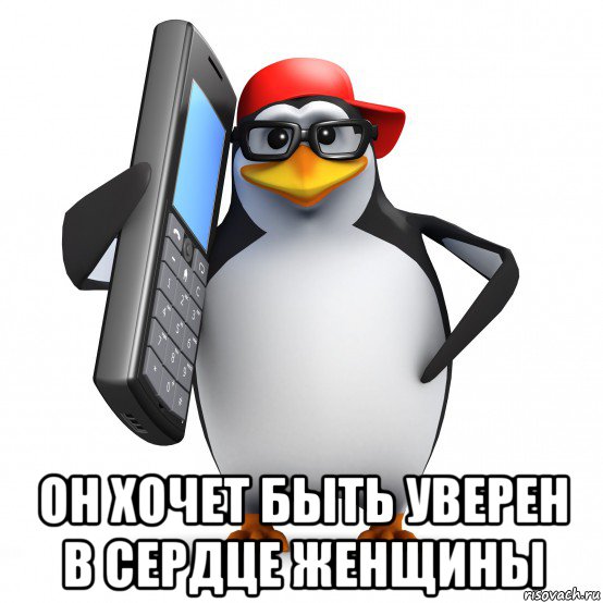  он хочет быть уверен в сердце женщины, Мем   Пингвин звонит