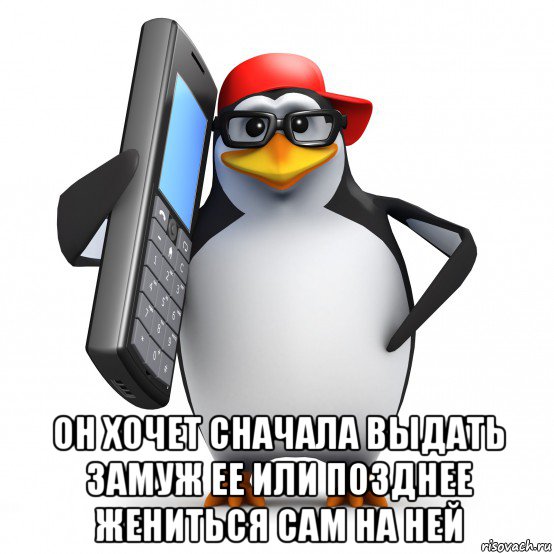  он хочет сначала выдать замуж ее или позднее жениться сам на ней, Мем   Пингвин звонит