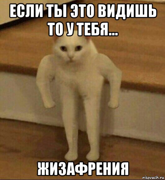 если ты это видишь то у тебя... жизафрения, Мем  Полукот