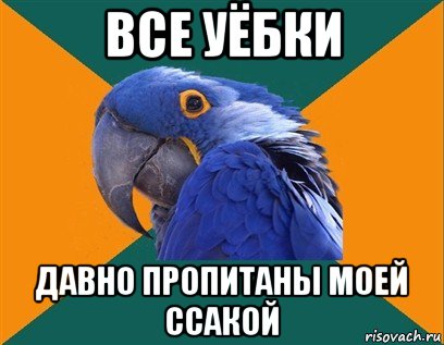 все уёбки давно пропитаны моей ссакой, Мем Попугай параноик