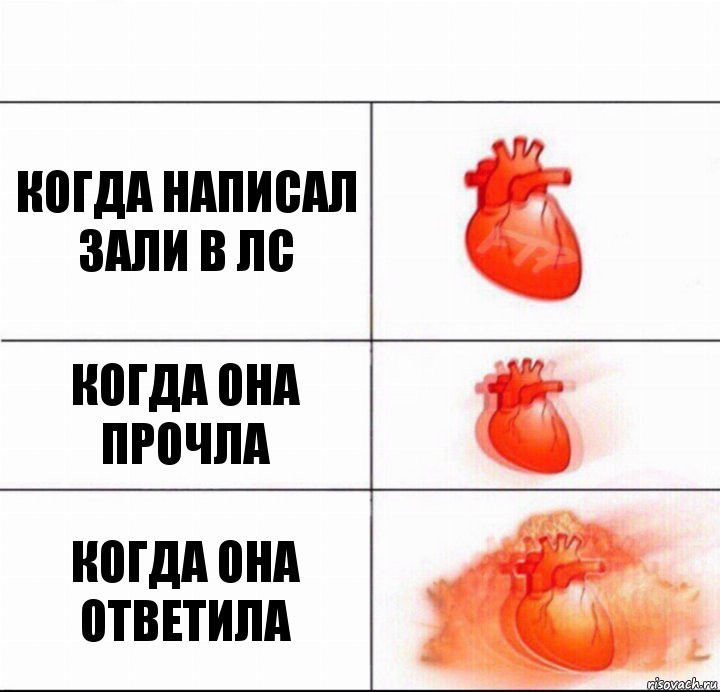 Когда написал Зали в лс Когда она прочла Когда она ответила, Комикс  Расширяюшее сердце