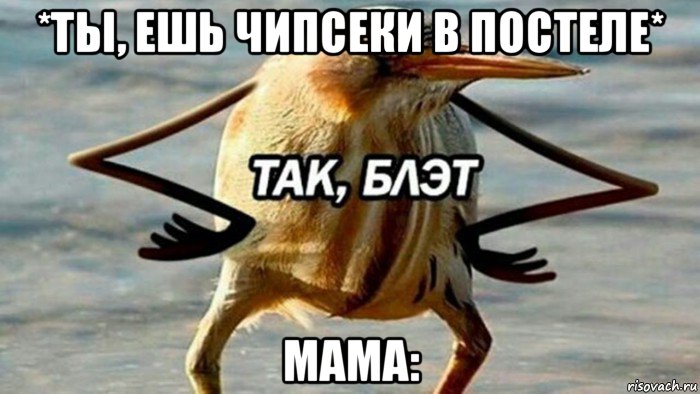 *ты, ешь чипсеки в постеле* мама: