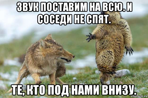 звук поставим на всю. и соседи не спят. те, кто под нами внизу., Мем Волк и суслик