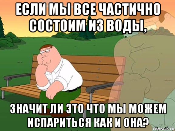 если мы все частично состоим из воды, значит ли это что мы можем испариться как и она?, Мем Задумчивый Гриффин