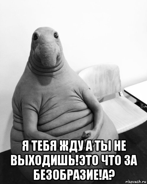  я тебя жду а ты не выходишь!это что за безобразие!а?