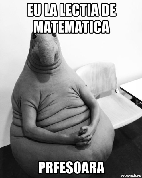 eu la lectia de matematica prfesoara, Мем  Ждун