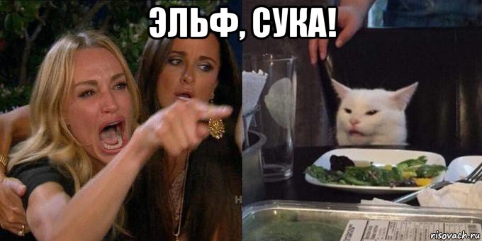 эльф, сука! , Мем Женщина орёт на кота