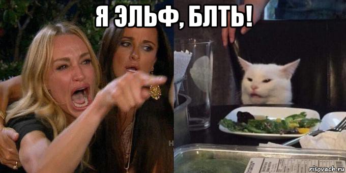 я эльф, блть! , Мем Женщина орёт на кота