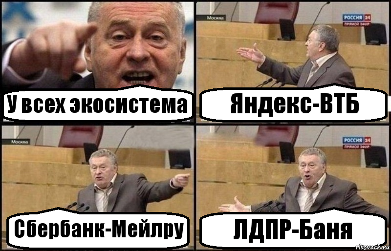 У всех экосистема Яндекс-ВТБ Сбербанк-Мейлру ЛДПР-Баня, Комикс Жириновский