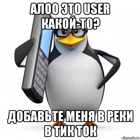 алоо это user какой-то? добавьте меня в реки в тик ток, Мем  88005553535