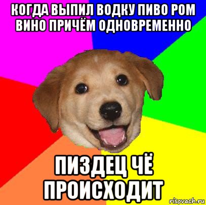 когда выпил водку пиво ром вино причём одновременно пиздец чё происходит, Мем Advice Dog