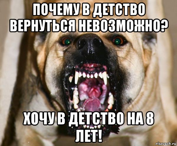 почему в детство вернуться невозможно? хочу в детство на 8 лет!, Мем бешеная собака