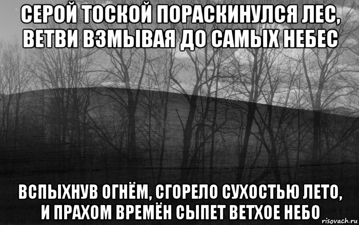 серой тоской пораскинулся лес, ветви взмывая до самых небес вспыхнув огнём, сгорело сухостью лето, и прахом времён сыпет ветхое небо, Мем безысходность лес