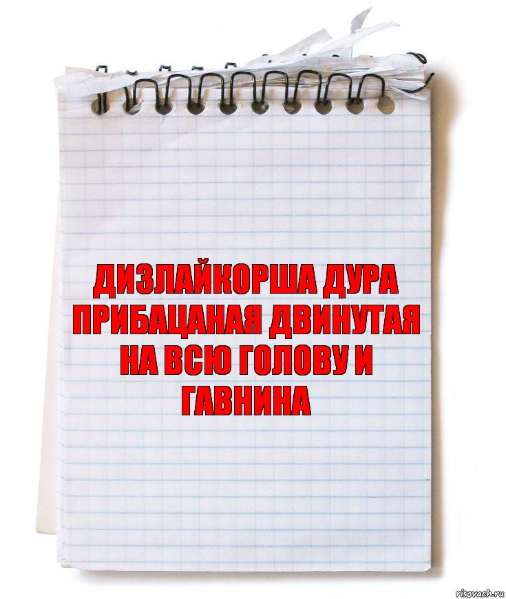 Дизлайкорша дура прибацаная двинутая на всю голову и гавнина, Комикс   блокнот с пружинкой