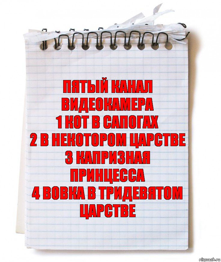 Пятый канал видеокамера
1 Кот в сапогах
2 В некотором царстве
3 Капризная принцесса
4 Вовка в тридевятом царстве, Комикс   блокнот с пружинкой