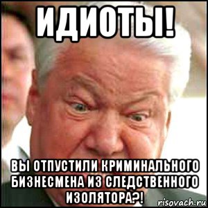 идиоты! вы отпустили криминального бизнесмена из следственного изолятора?!, Мем Ельцин