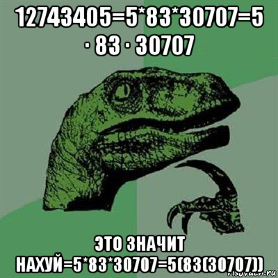 12743405=5*83*30707=5 ∙ 83 ∙ 30707 это значит нахуй=5*83*30707=5(83(30707)), Мем Филосораптор