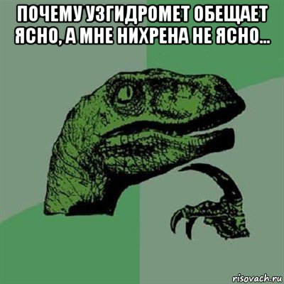 почему узгидромет обещает ясно, а мне нихрена не ясно... , Мем Филосораптор