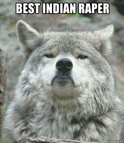 best indian raper , Мем    Гордый волк
