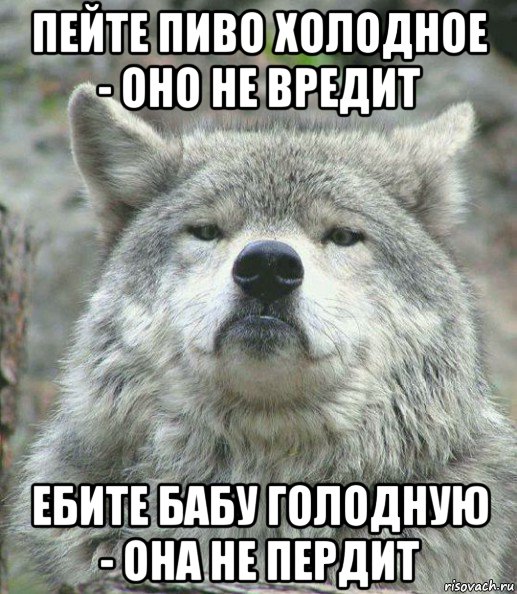 пейте пиво холодное - оно не вредит ебите бабу голодную - она не пердит, Мем    Гордый волк